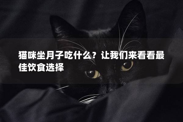 猫咪坐月子吃什么？让我们来看看最佳饮食选择