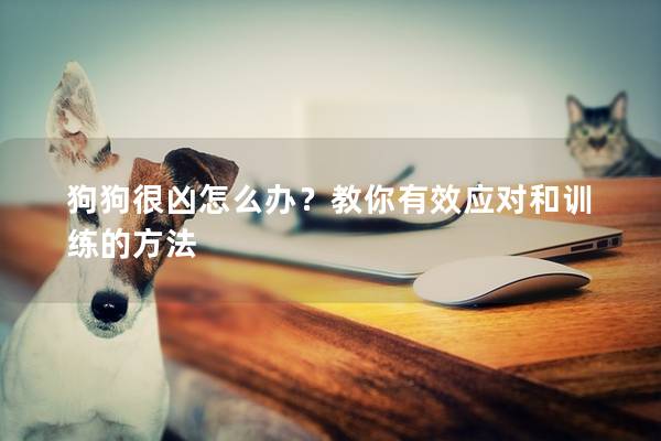 狗狗很凶怎么办？教你有效应对和训练的方法