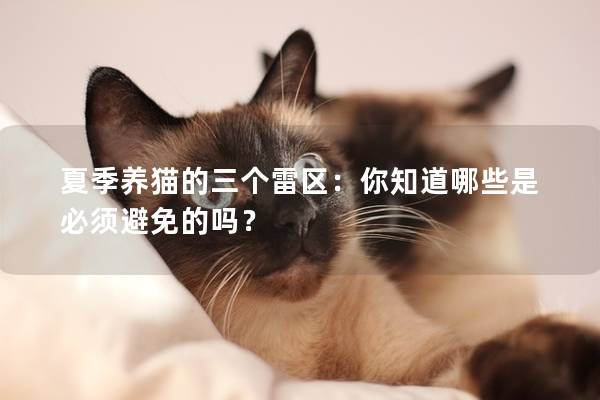 夏季养猫的三个雷区：你知道哪些是必须避免的吗？