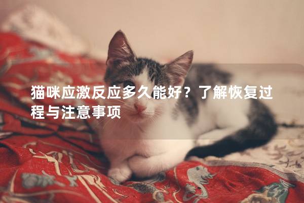 猫咪应激反应多久能好？了解恢复过程与注意事项