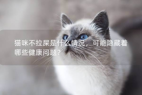 猫咪不拉屎是什么情况，可能隐藏着哪些健康问题？