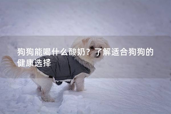 狗狗能喝什么酸奶？了解适合狗狗的健康选择