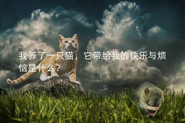 我养了一只猫，它带给我的快乐与烦恼是什么？