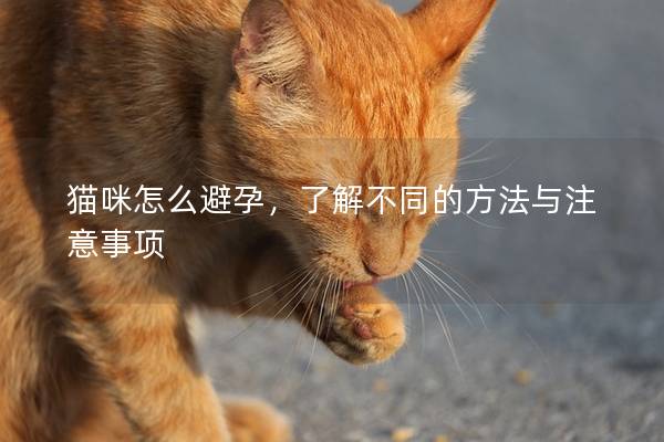 猫咪怎么避孕，了解不同的方法与注意事项