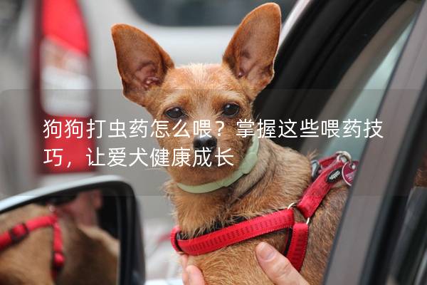 狗狗打虫药怎么喂？掌握这些喂药技巧，让爱犬健康成长