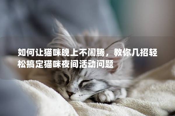 如何让猫咪晚上不闹腾，教你几招轻松搞定猫咪夜间活动问题