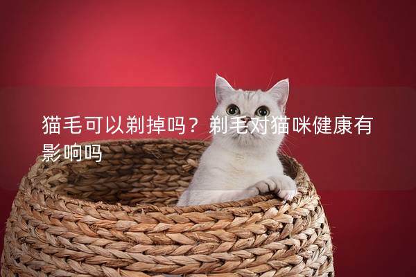 猫毛可以剃掉吗？剃毛对猫咪健康有影响吗