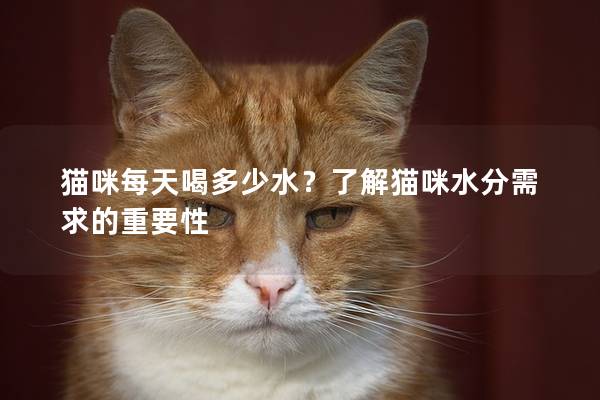 猫咪每天喝多少水？了解猫咪水分需求的重要性