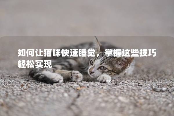 如何让猫咪快速睡觉，掌握这些技巧轻松实现