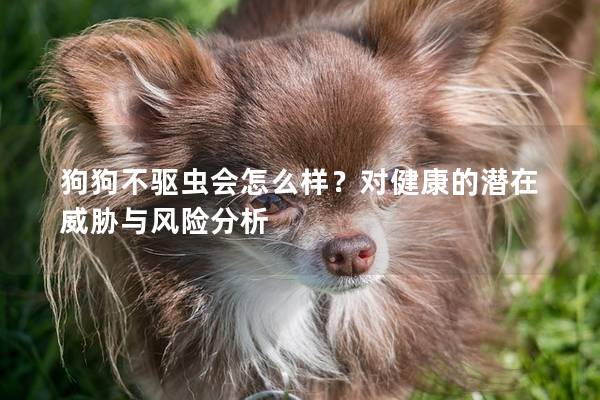 狗狗不驱虫会怎么样？对健康的潜在威胁与风险分析