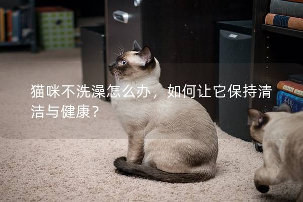 猫咪不洗澡怎么办，如何让它保持清洁与健康？