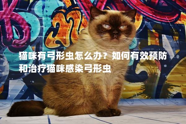 猫咪有弓形虫怎么办？如何有效预防和治疗猫咪感染弓形虫