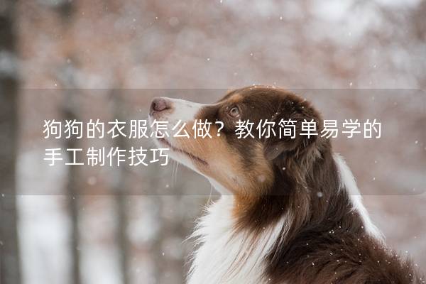 狗狗的衣服怎么做？教你简单易学的手工制作技巧