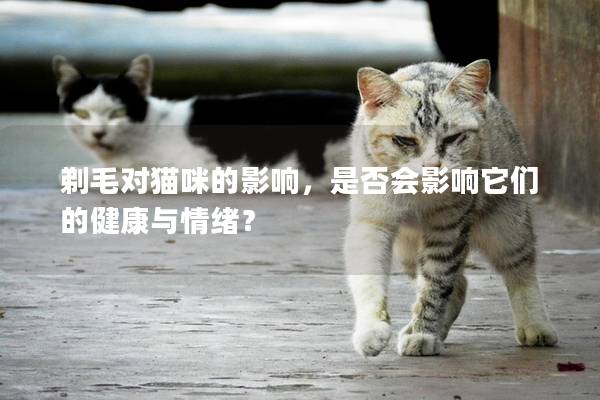 剃毛对猫咪的影响，是否会影响它们的健康与情绪？