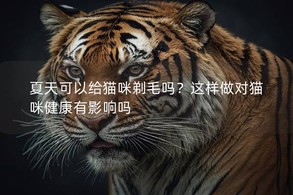 夏天可以给猫咪剃毛吗？这样做对猫咪健康有影响吗