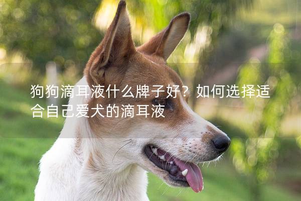 狗狗滴耳液什么牌子好？如何选择适合自己爱犬的滴耳液