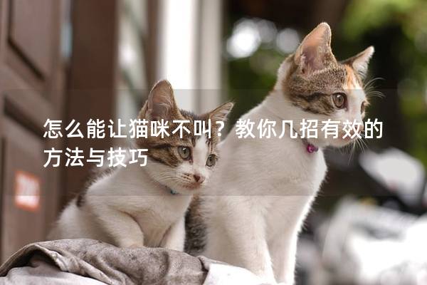 怎么能让猫咪不叫？教你几招有效的方法与技巧