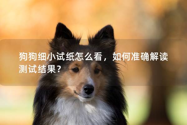 狗狗细小试纸怎么看，如何准确解读测试结果？