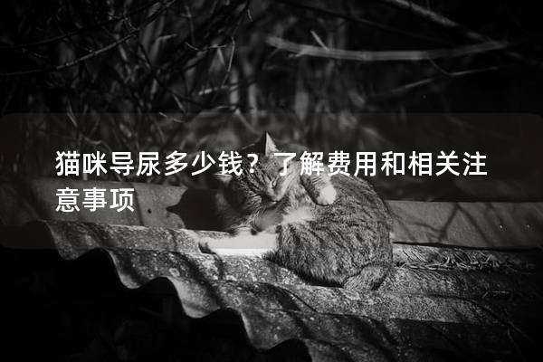 猫咪导尿多少钱？了解费用和相关注意事项