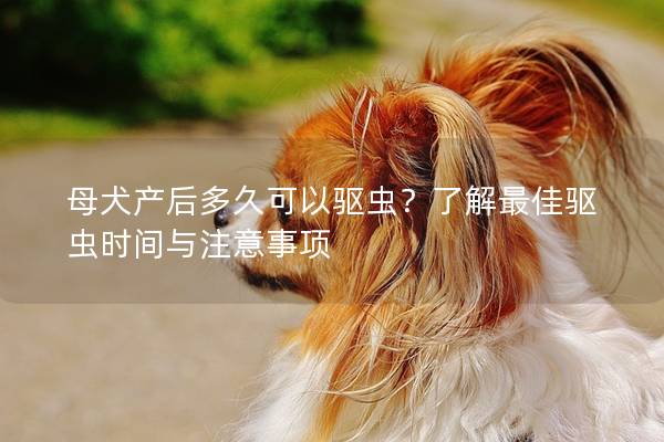 母犬产后多久可以驱虫？了解最佳驱虫时间与注意事项