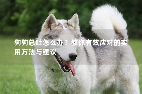 狗狗总吐怎么办？教你有效应对的实用方法与建议