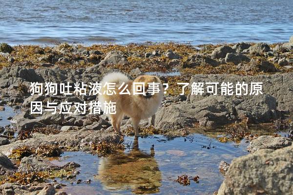 狗狗吐粘液怎么回事？了解可能的原因与应对措施