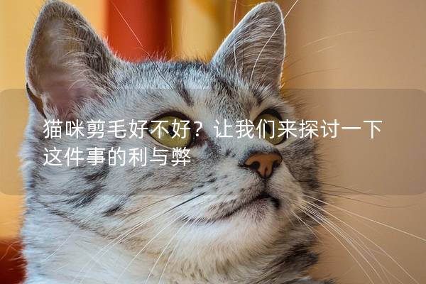 猫咪剪毛好不好？让我们来探讨一下这件事的利与弊