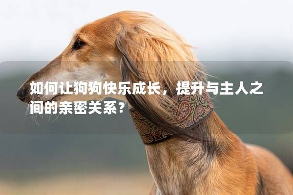 如何让狗狗快乐成长，提升与主人之间的亲密关系？