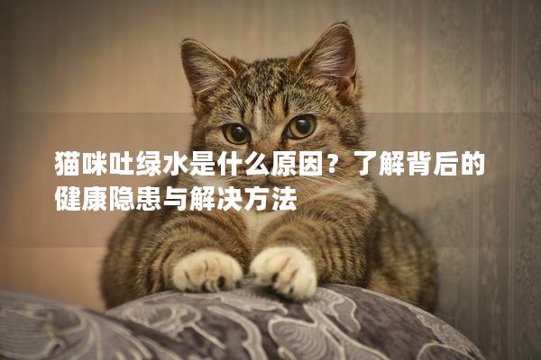 猫咪吐绿水是什么原因？了解背后的健康隐患与解决方法