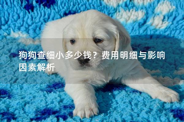 狗狗查细小多少钱？费用明细与影响因素解析