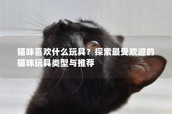 猫咪喜欢什么玩具？探索最受欢迎的猫咪玩具类型与推荐