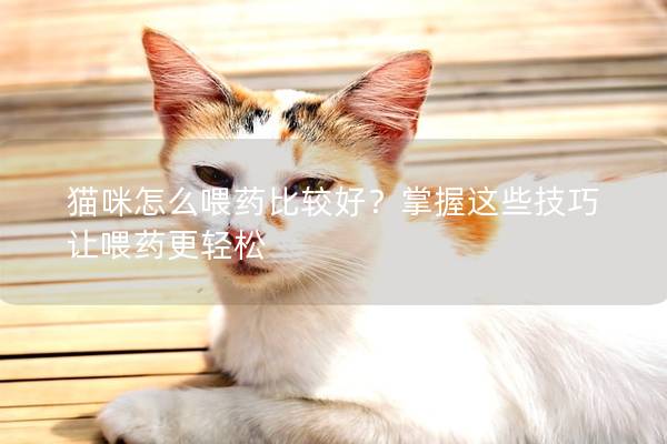 猫咪怎么喂药比较好？掌握这些技巧让喂药更轻松