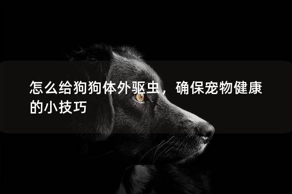 怎么给狗狗体外驱虫，确保宠物健康的小技巧