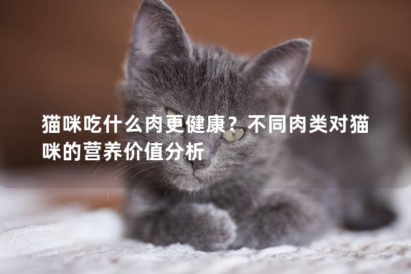 猫咪吃什么肉更健康？不同肉类对猫咪的营养价值分析