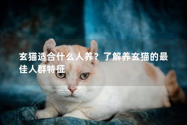 玄猫适合什么人养？了解养玄猫的最佳人群特征