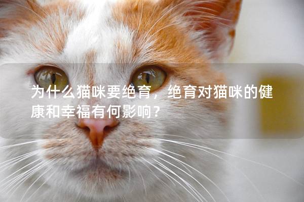 为什么猫咪要绝育，绝育对猫咪的健康和幸福有何影响？