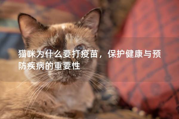 猫咪为什么要打疫苗，保护健康与预防疾病的重要性