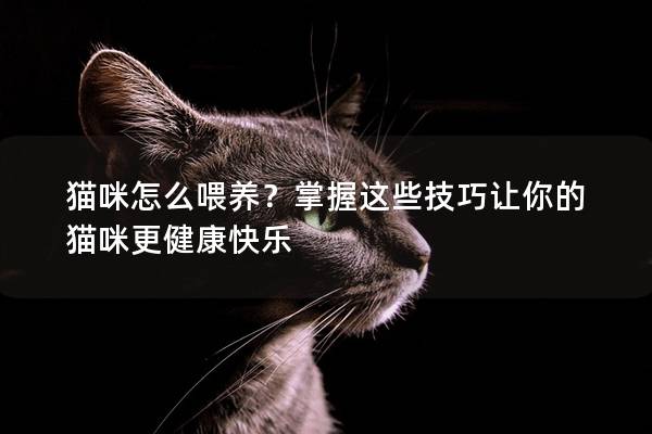 猫咪怎么喂养？掌握这些技巧让你的猫咪更健康快乐