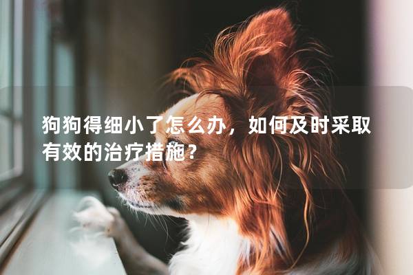 狗狗得细小了怎么办，如何及时采取有效的治疗措施？