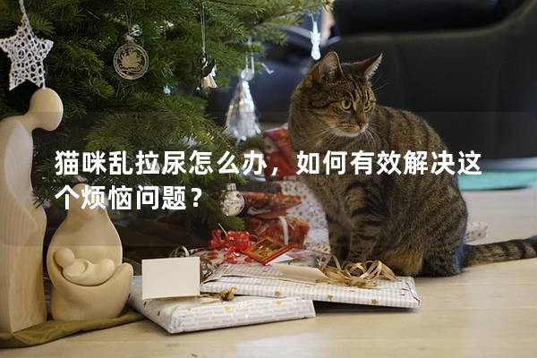 猫咪乱拉尿怎么办，如何有效解决这个烦恼问题？