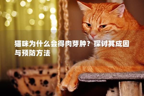 猫咪为什么会得肉芽肿？探讨其成因与预防方法