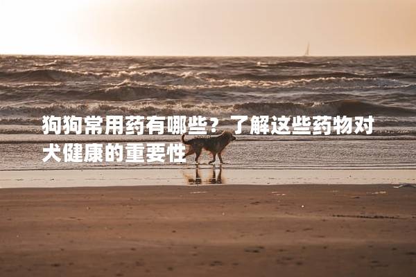 狗狗常用药有哪些？了解这些药物对犬健康的重要性