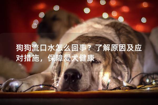 狗狗流口水怎么回事？了解原因及应对措施，保障爱犬健康