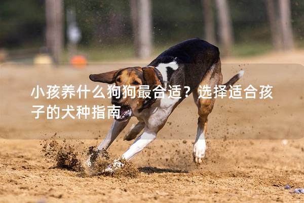 小孩养什么狗狗最合适？选择适合孩子的犬种指南