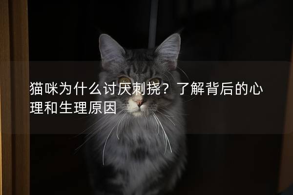 猫咪为什么讨厌刺挠？了解背后的心理和生理原因