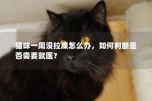 猫咪一周没拉屎怎么办，如何判断是否需要就医？