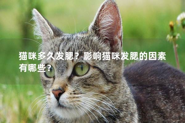 猫咪多久发腮？影响猫咪发腮的因素有哪些？