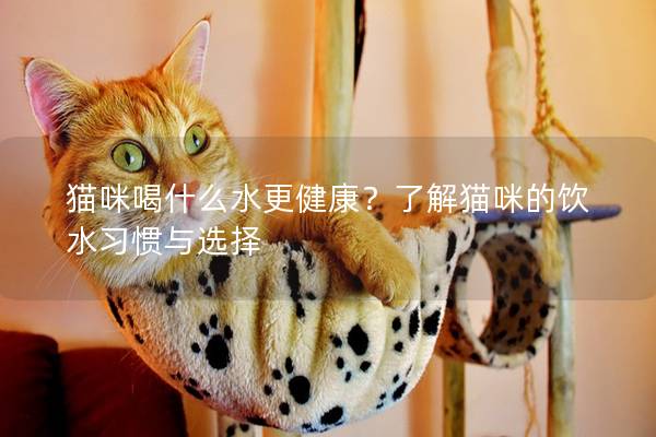 猫咪喝什么水更健康？了解猫咪的饮水习惯与选择