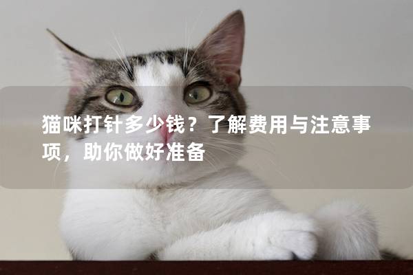 猫咪打针多少钱？了解费用与注意事项，助你做好准备