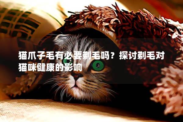 猫爪子毛有必要剃毛吗？探讨剃毛对猫咪健康的影响